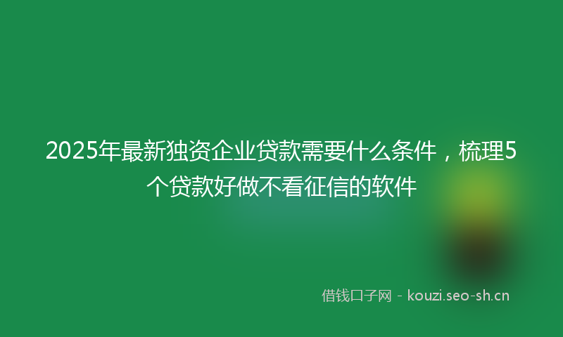 2025年最新独资企业贷款需要什么条件，梳理5个贷款好做不看征信的软件