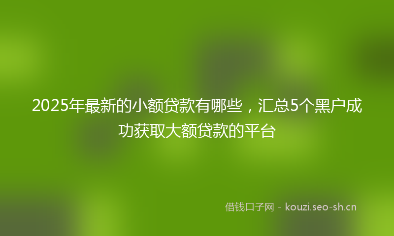 2025年最新的小额贷款有哪些，汇总5个黑户成功获取大额贷款的平台
