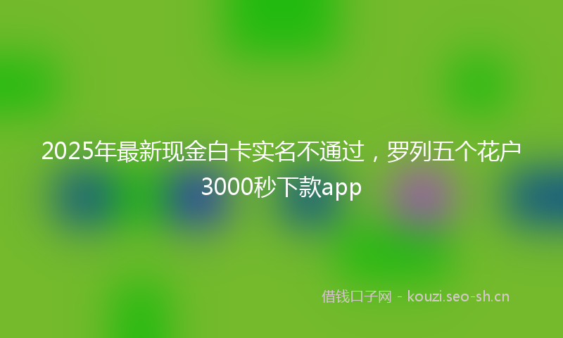 2025年最新现金白卡实名不通过，罗列五个花户3000秒下款app