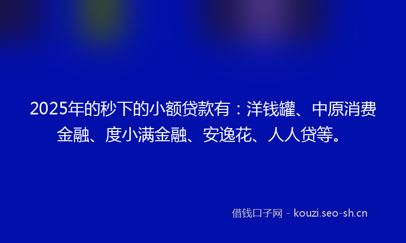 2025年的秒下的小额贷款有：洋钱罐、中原消费金融、度小满金融、安逸花、人人贷等。