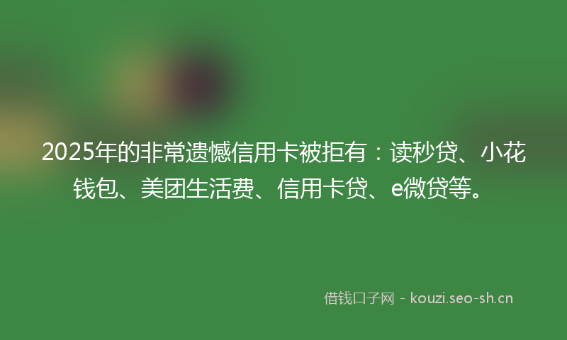 2025年的非常遗憾信用卡被拒有：读秒贷、小花钱包、美团生活费、信用卡贷、e微贷等。