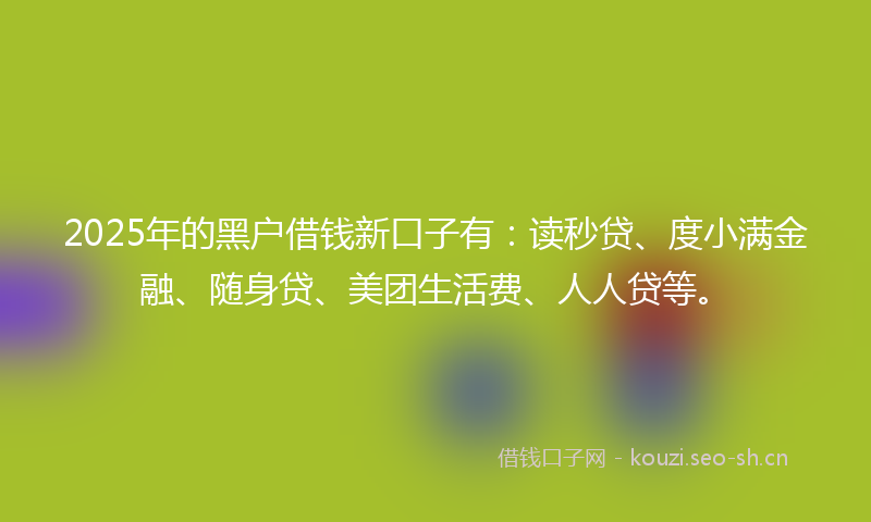 2025年的黑户借钱新口子有：读秒贷、度小满金融、随身贷、美团生活费、人人贷等。