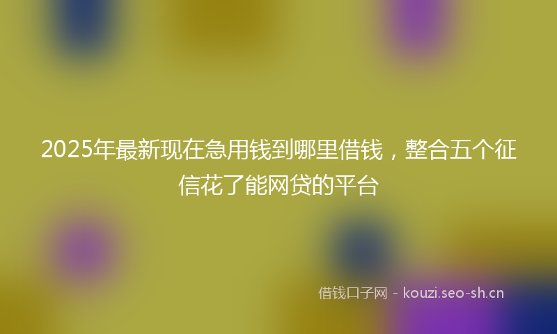 2025年最新现在急用钱到哪里借钱，整合五个征信花了能网贷的平台