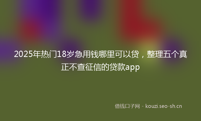 2025年热门18岁急用钱哪里可以贷，整理五个真正不查征信的贷款app