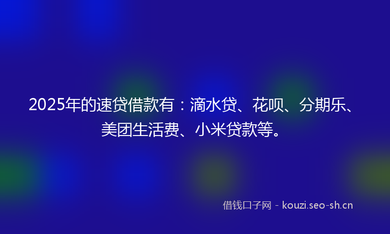 2025年的速贷借款有：滴水贷、花呗、分期乐、美团生活费、小米贷款等。