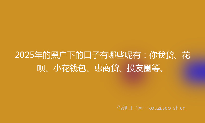 2025年的黑户下的口子有哪些呢有：你我贷、花呗、小花钱包、惠商贷、投友圈等。