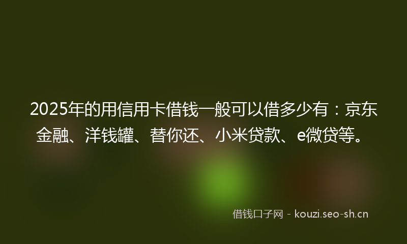 2025年的用信用卡借钱一般可以借多少有：京东金融、洋钱罐、替你还、小米贷款、e微贷等。