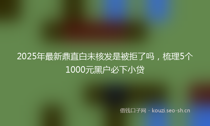 2025年最新鼎直白未核发是被拒了吗，梳理5个1000元黑户必下小贷