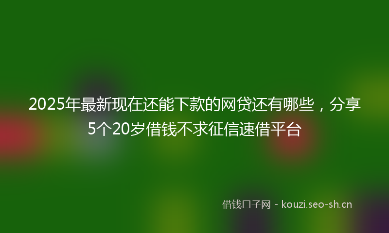 2025年最新现在还能下款的网贷还有哪些，分享5个20岁借钱不求征信速借平台
