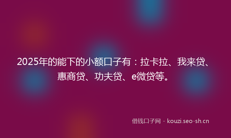 2025年的能下的小额口子有：拉卡拉、我来贷、惠商贷、功夫贷、e微贷等。