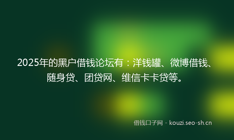 2025年的黑户借钱论坛有：洋钱罐、微博借钱、随身贷、团贷网、维信卡卡贷等。