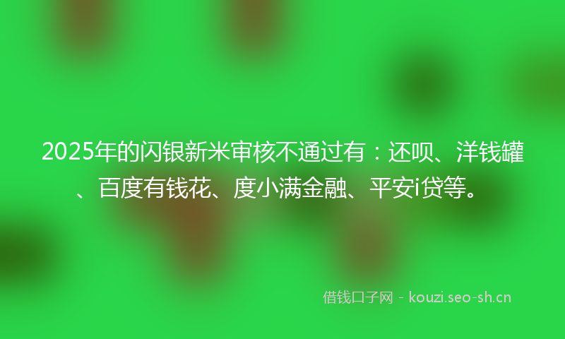 2025年的闪银新米审核不通过有：还呗、洋钱罐、百度有钱花、度小满金融、平安i贷等。