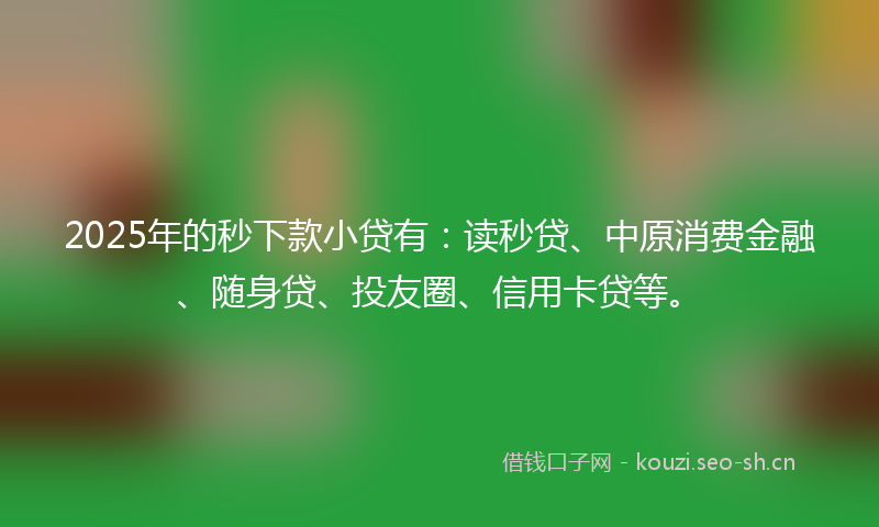2025年的秒下款小贷有：读秒贷、中原消费金融、随身贷、投友圈、信用卡贷等。