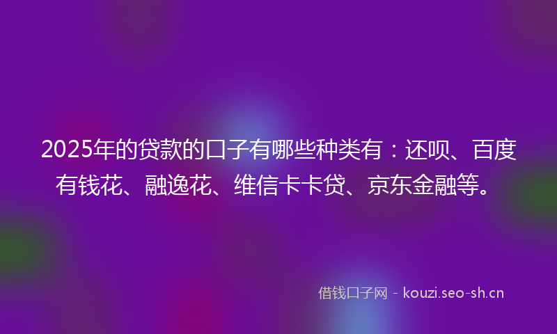 2025年的贷款的口子有哪些种类有：还呗、百度有钱花、融逸花、维信卡卡贷、京东金融等。