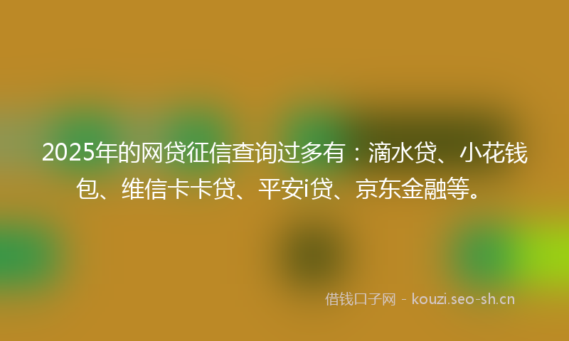 2025年的网贷征信查询过多有：滴水贷、小花钱包、维信卡卡贷、平安i贷、京东金融等。
