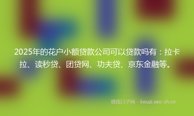 2025年的花户小额贷款公司可以贷款吗有：拉卡拉、读秒贷、团贷网、功夫贷、京东金融等。