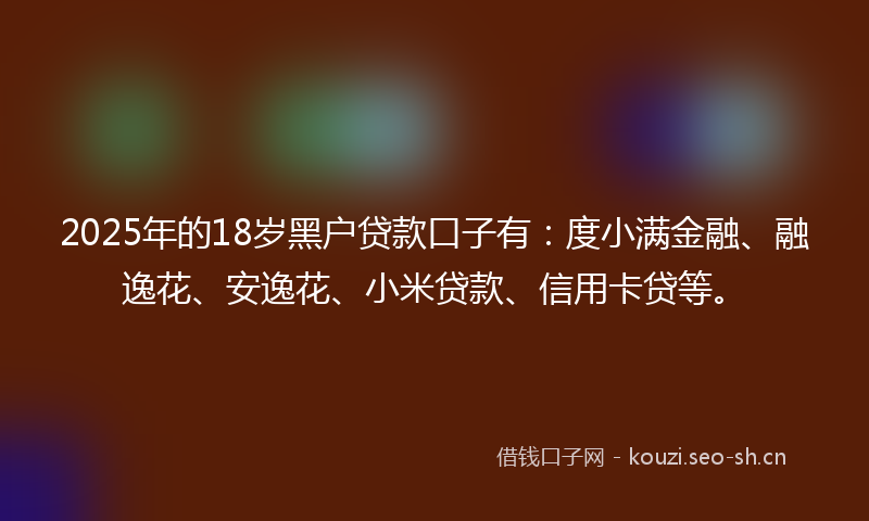 2025年的18岁黑户贷款口子有：度小满金融、融逸花、安逸花、小米贷款、信用卡贷等。