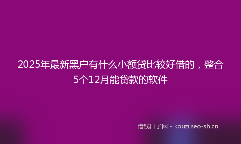 2025年最新黑户有什么小额贷比较好借的，整合5个12月能贷款的软件