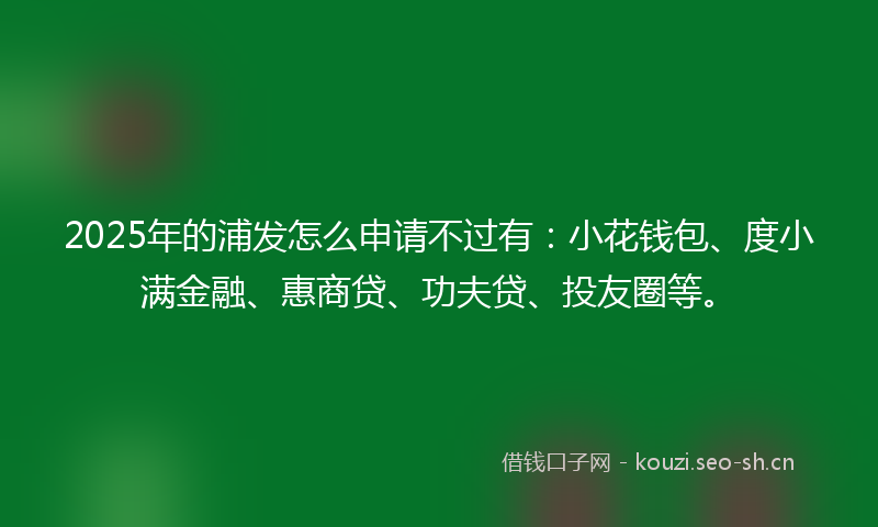 2025年的浦发怎么申请不过有：小花钱包、度小满金融、惠商贷、功夫贷、投友圈等。