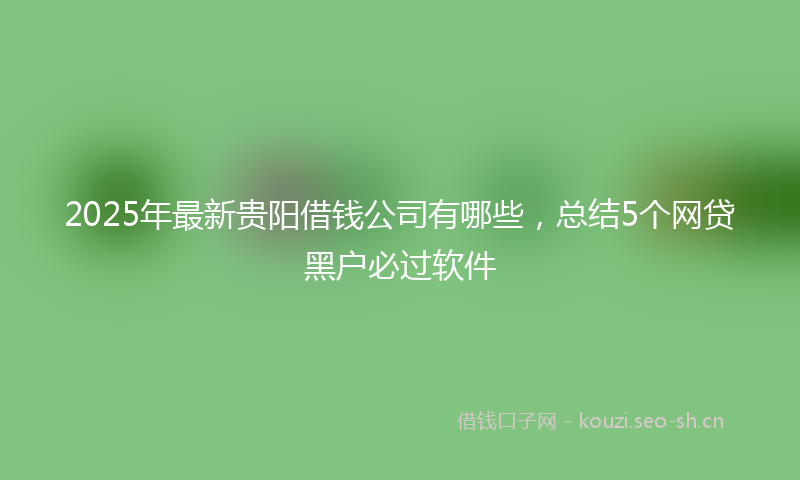 2025年最新贵阳借钱公司有哪些，总结5个网贷黑户必过软件