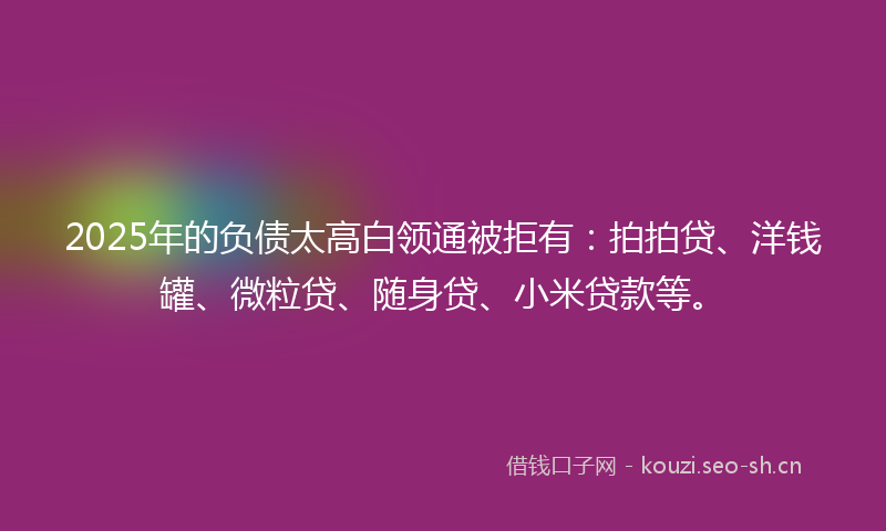 2025年的负债太高白领通被拒有：拍拍贷、洋钱罐、微粒贷、随身贷、小米贷款等。