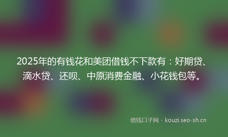 2025年的有钱花和美团借钱不下款有：好期贷、滴水贷、还呗、中原消费金融、小花钱包等。
