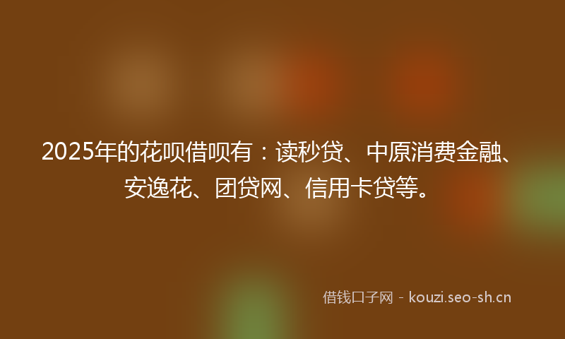 2025年的花呗借呗有：读秒贷、中原消费金融、安逸花、团贷网、信用卡贷等。