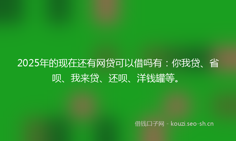 2025年的现在还有网贷可以借吗有：你我贷、省呗、我来贷、还呗、洋钱罐等。