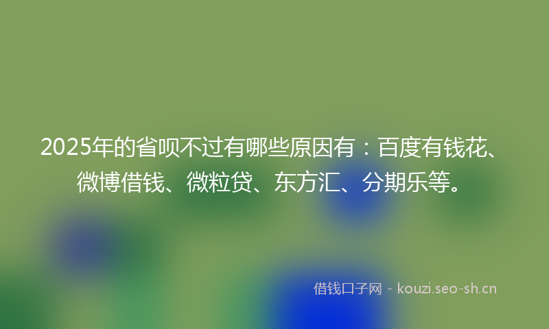 2025年的省呗不过有哪些原因有：百度有钱花、微博借钱、微粒贷、东方汇、分期乐等。