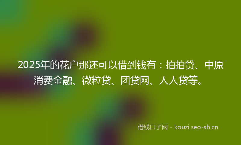2025年的花户那还可以借到钱有：拍拍贷、中原消费金融、微粒贷、团贷网、人人贷等。