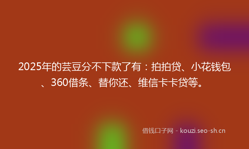 2025年的芸豆分不下款了有：拍拍贷、小花钱包、360借条、替你还、维信卡卡贷等。