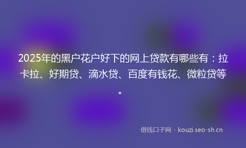 2025年的黑户花户好下的网上贷款有哪些有：拉卡拉、好期贷、滴水贷、百度有钱花、微粒贷等。