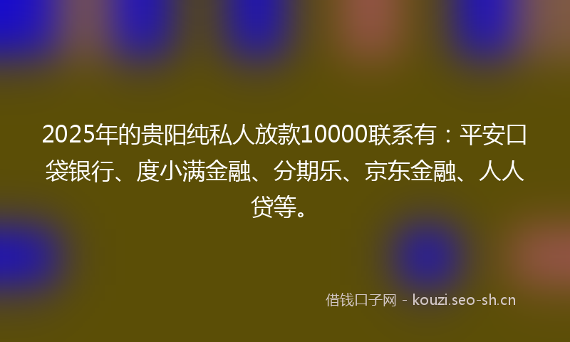 2025年的贵阳纯私人放款10000联系有：平安口袋银行、度小满金融、分期乐、京东金融、人人贷等。