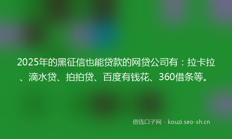 2025年的黑征信也能贷款的网贷公司有：拉卡拉、滴水贷、拍拍贷、百度有钱花、360借条等。