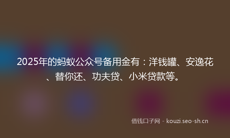 2025年的蚂蚁公众号备用金有：洋钱罐、安逸花、替你还、功夫贷、小米贷款等。