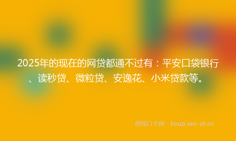 2025年的现在的网贷都通不过有：平安口袋银行、读秒贷、微粒贷、安逸花、小米贷款等。