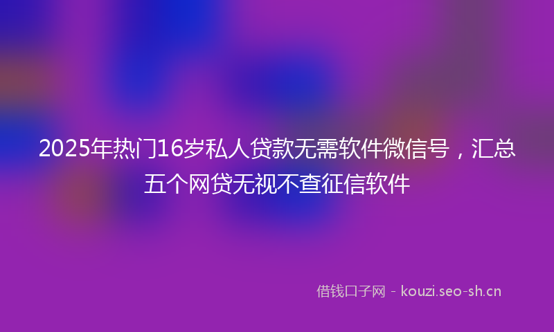 2025年热门16岁私人贷款无需软件微信号，汇总五个网贷无视不查征信软件