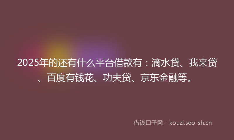 2025年的还有什么平台借款有：滴水贷、我来贷、百度有钱花、功夫贷、京东金融等。