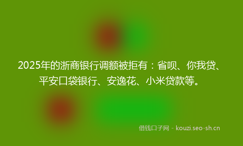 2025年的浙商银行调额被拒有：省呗、你我贷、平安口袋银行、安逸花、小米贷款等。