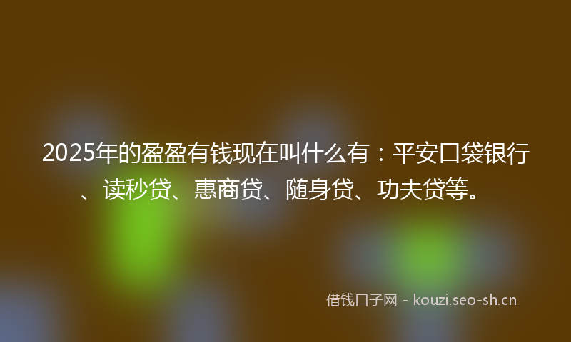 2025年的盈盈有钱现在叫什么有：平安口袋银行、读秒贷、惠商贷、随身贷、功夫贷等。