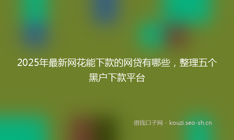 2025年最新网花能下款的网贷有哪些，整理五个黑户下款平台