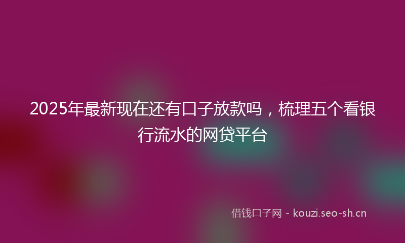 2025年最新现在还有口子放款吗，梳理五个看银行流水的网贷平台