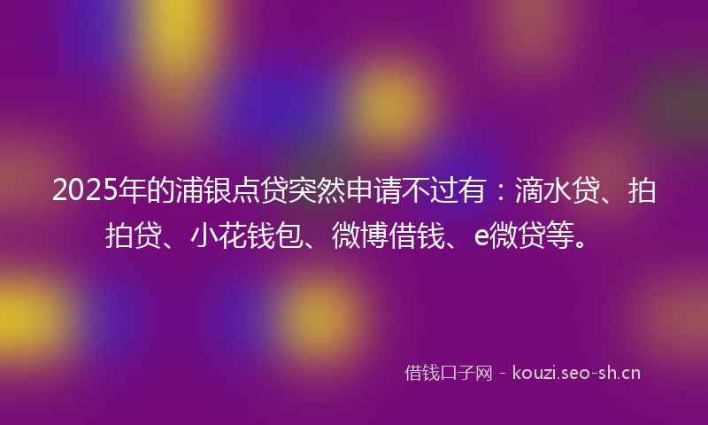 2025年的浦银点贷突然申请不过有：滴水贷、拍拍贷、小花钱包、微博借钱、e微贷等。