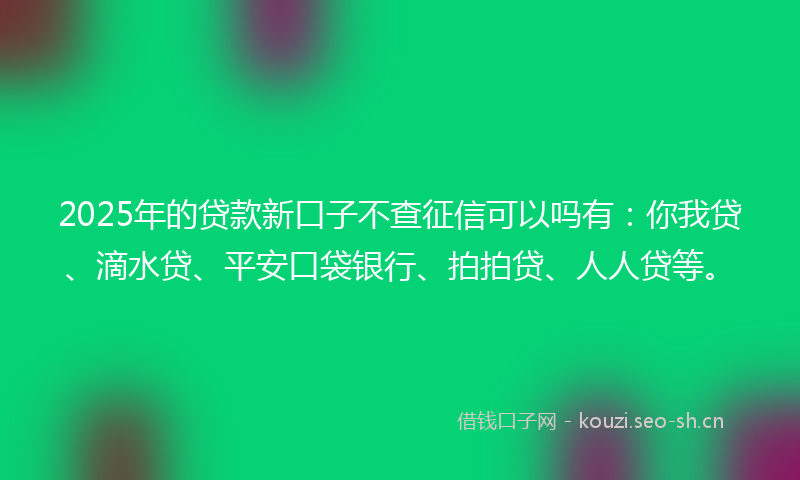 2025年的贷款新口子不查征信可以吗有：你我贷、滴水贷、平安口袋银行、拍拍贷、人人贷等。