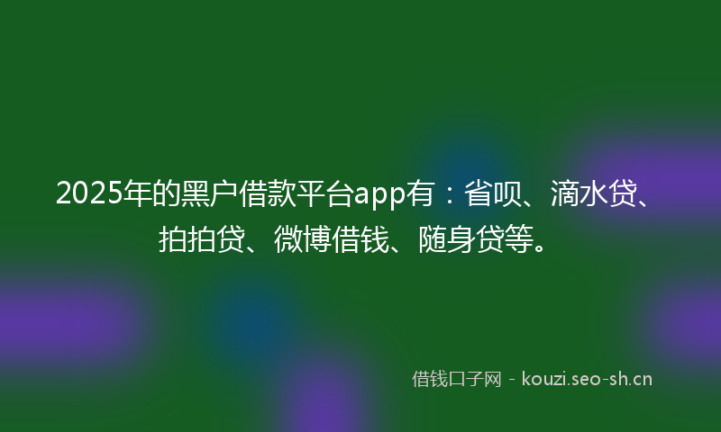 2025年的黑户借款平台app有：省呗、滴水贷、拍拍贷、微博借钱、随身贷等。