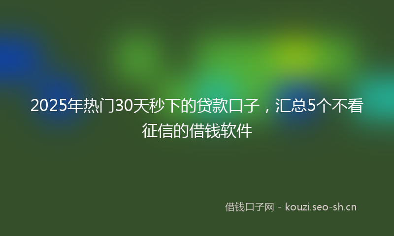 2025年热门30天秒下的贷款口子，汇总5个不看征信的借钱软件