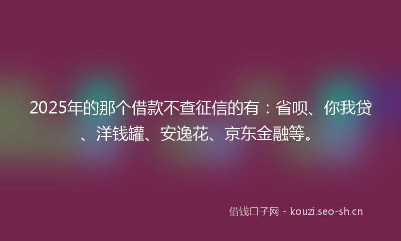 2025年的那个借款不查征信的有：省呗、你我贷、洋钱罐、安逸花、京东金融等。