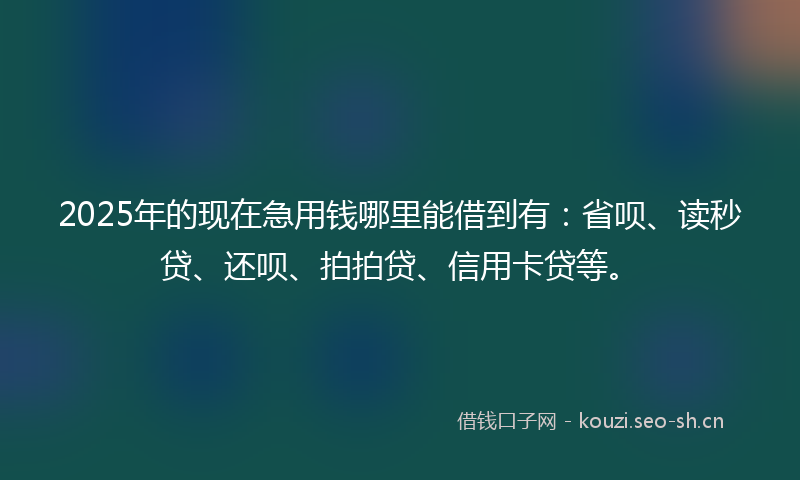 2025年的现在急用钱哪里能借到有：省呗、读秒贷、还呗、拍拍贷、信用卡贷等。
