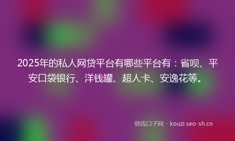 2025年的私人网贷平台有哪些平台有：省呗、平安口袋银行、洋钱罐、超人卡、安逸花等。