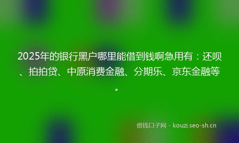 2025年的银行黑户哪里能借到钱啊急用有：还呗、拍拍贷、中原消费金融、分期乐、京东金融等。